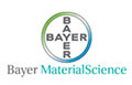 bayer1.jpg